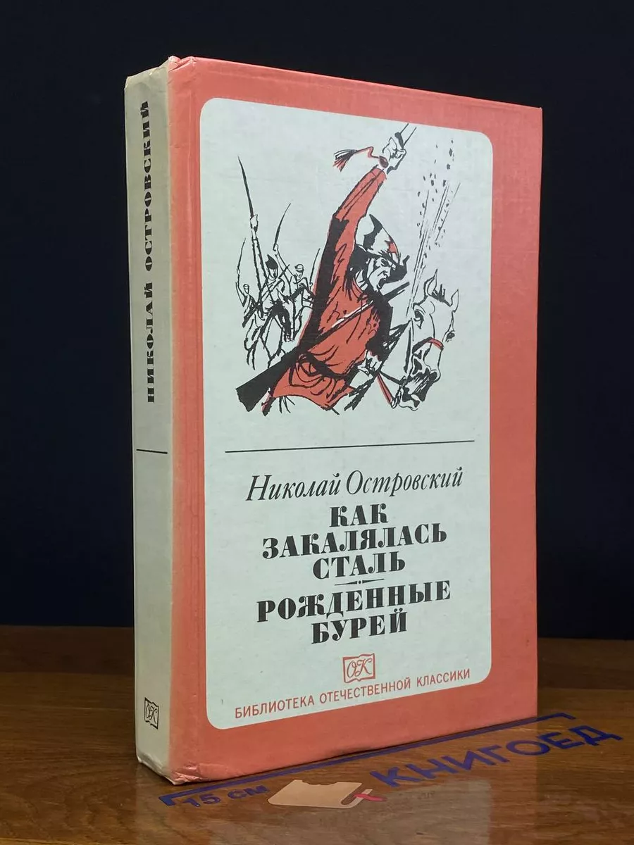 Как закалялась сталь. Рожденные бурей
