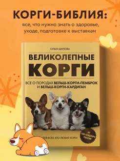 Великолепные корги. Все о породах вельш-корги