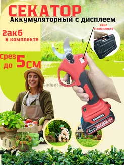 Секатор аккумуляторный для сада 48W + 2 батареи с дисплеем