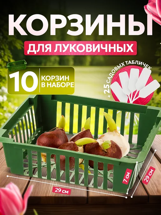 KOMPLEKT PLASTIK корзины для посадки луковичных растений 10шт