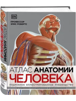 Атлас анатомии человека Подробное руководство Эксмо 225651339 купить за 4 256 ₽ в интернет-магазине Wildberries