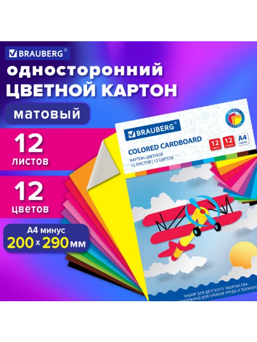 Brauberg Картон цветной А4, 12 листов 12 цветов, в папке, 200х290 мм, 200x290 мм, 12 цв.