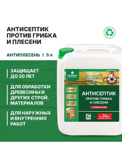 Антисептик от грибка и плесени 5 л PROSEPT 225778417 купить за 577 ₽ в интернет-магазине Wildberries