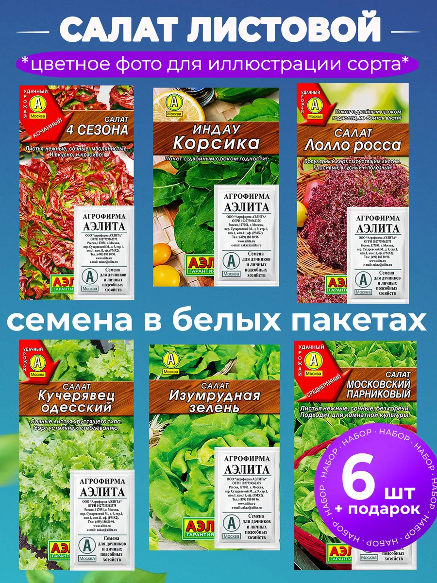 Салат листовой семена для посадки