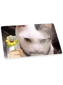 Наклейка на банковскую карту мем котик OKSTICKERS-CARD 225862991 купить за 225 ₽ в интернет-магазине Wildberries