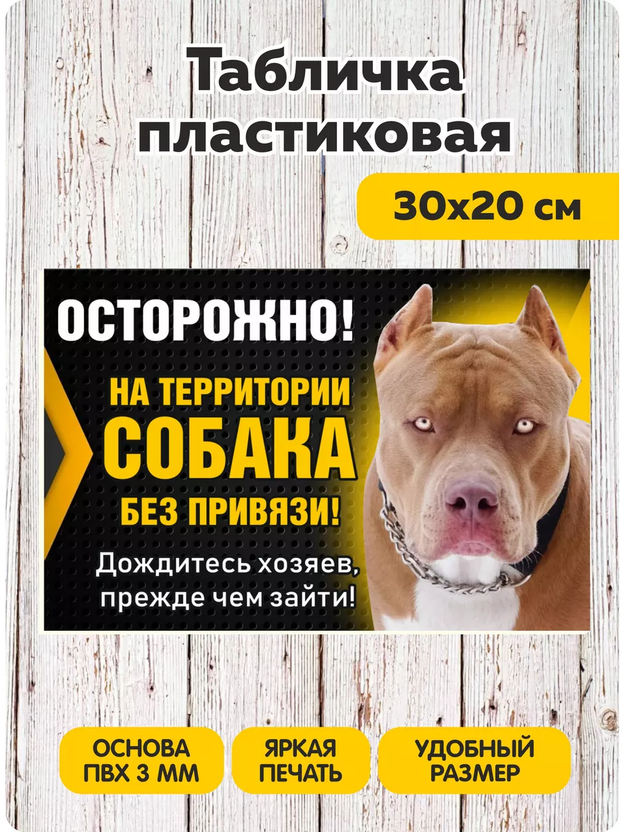 Табличка на дом Злая собака 20х30 см