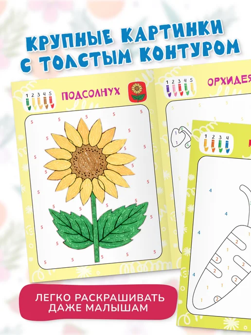 Харвест Комплект Раскраски по номерам для детей, 2 шт, фото 4
