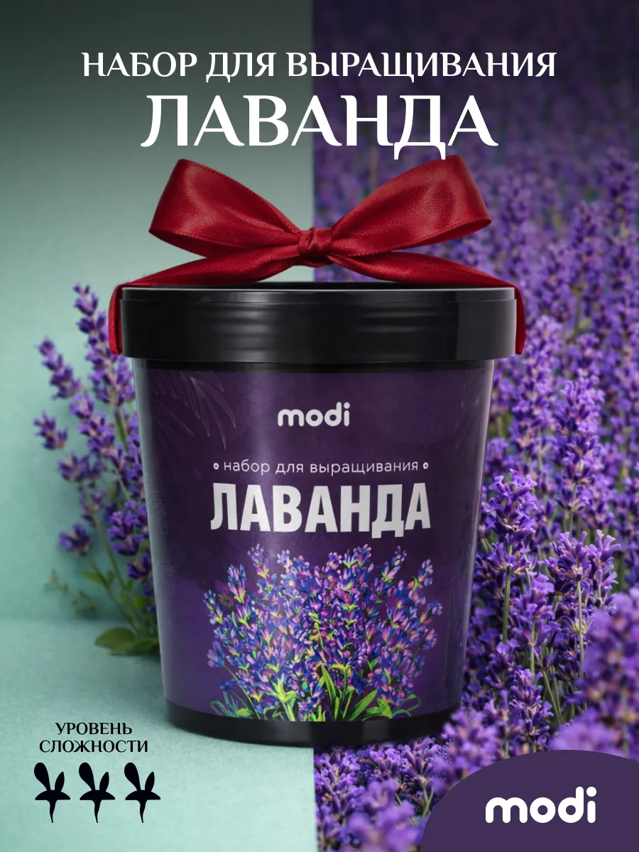 Подарочный набор для выращивания дома Лаванда