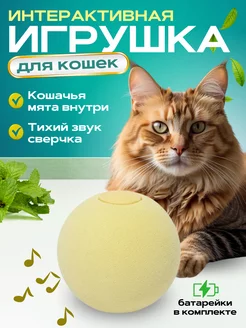 Игрушки для кошек интерактивные с мятой ЭКО_ДОМ 226101812 купить за 194 ₽ в интернет-магазине Wildberries