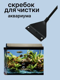 скребок для аквариума нет бренда ИП Кубышева 226183580 купить за 321 ₽ в интернет-магазине Wildberries