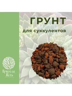 Грунт для суккулентов и кактусов, 1л