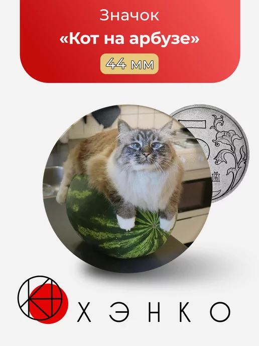 Кот на Арбузе мемы