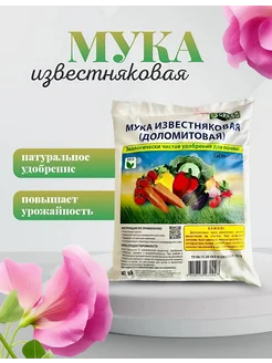 Мука известняковая доломитовая удобрение 3 кг Зеленый дом 226276133 купить за 144 ₽ в интернет-магазине Wildberries