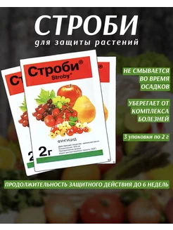 Строби фунгицид для растений защита от болезней, 3 шт Чистый сад 226335503 купить за 278 ₽ в интернет‑магазине Wildberries
