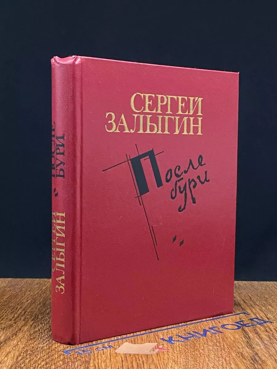 После бури. Книга 2