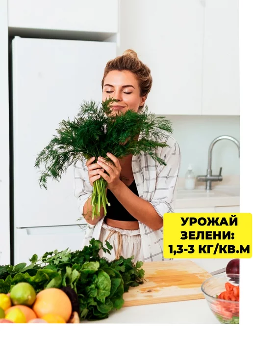 ГАВРИШ Укроп семена под зиму, вариант, фото 4