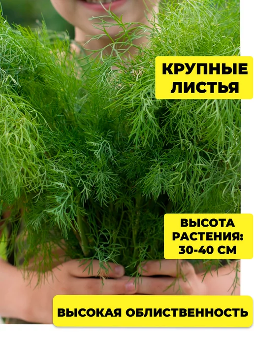 ГАВРИШ Укроп семена под зиму, вариант, фото 8