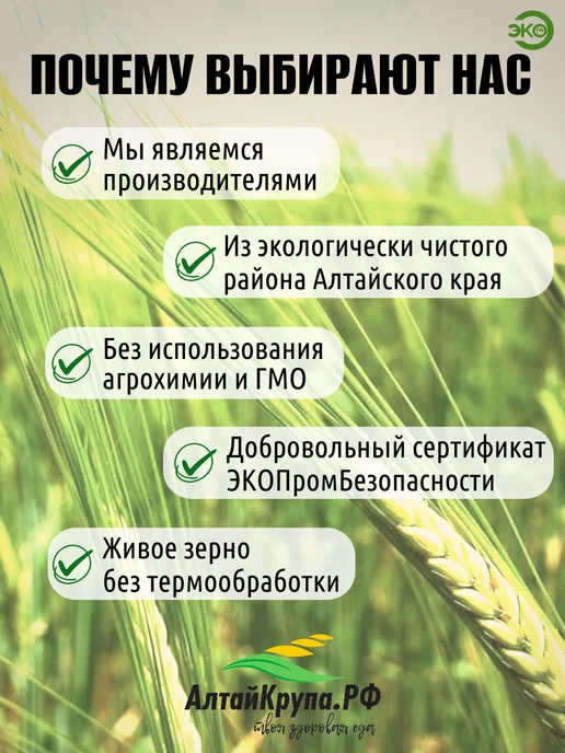 АлтайКрупа.РФ Гречка пропаренная крупа цельная 2 кг, 2 кг, фото 3