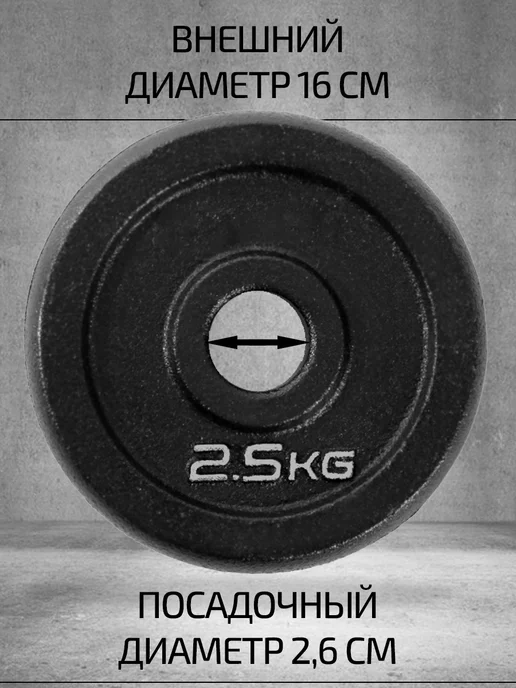OneFit Блины для штанг и гантелей 4 шт 2,5 кг чугунные, 4 шт, 2,5 кг, фото 2