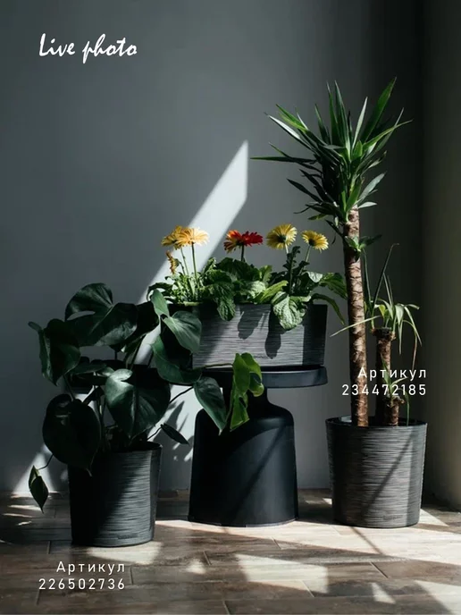 La Decoro Кашпо для сансевиерии и спатифиллума 7,5 л, 7,5 л, фото 8