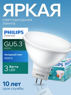 Лампочка светодиодная Филипс 3W GU5.3 софит 6500К MR16 1шт Philips 226546189 купить за 467 ₽ в интернет-магазине Wildberries