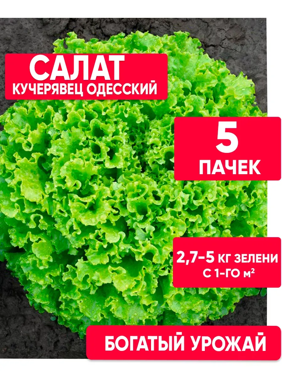 Семена салата листового для открытого грунта