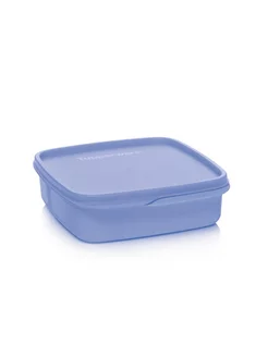 Ланч-бокс Школьник Tupperware 226578022 купить за 466 ₽ в интернет-магазине Wildberries