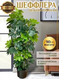 Шеффлера искусственные растения для декора Royal Trees 226691083 купить за 4 147 ₽ в интернет-магазине Wildberries