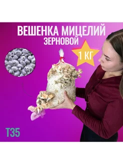 Мицелий вешенки зерновой (штамм т35) - 1 кг 226698221 купить за 346 ₽ в интернет-магазине Wildberries