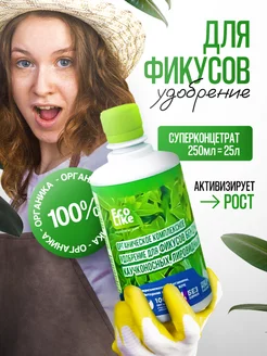 Органическое удобрение для фикусов