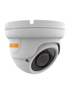 IP-камера 2MP Dome IP Camera 2074 (2.8-12mm)