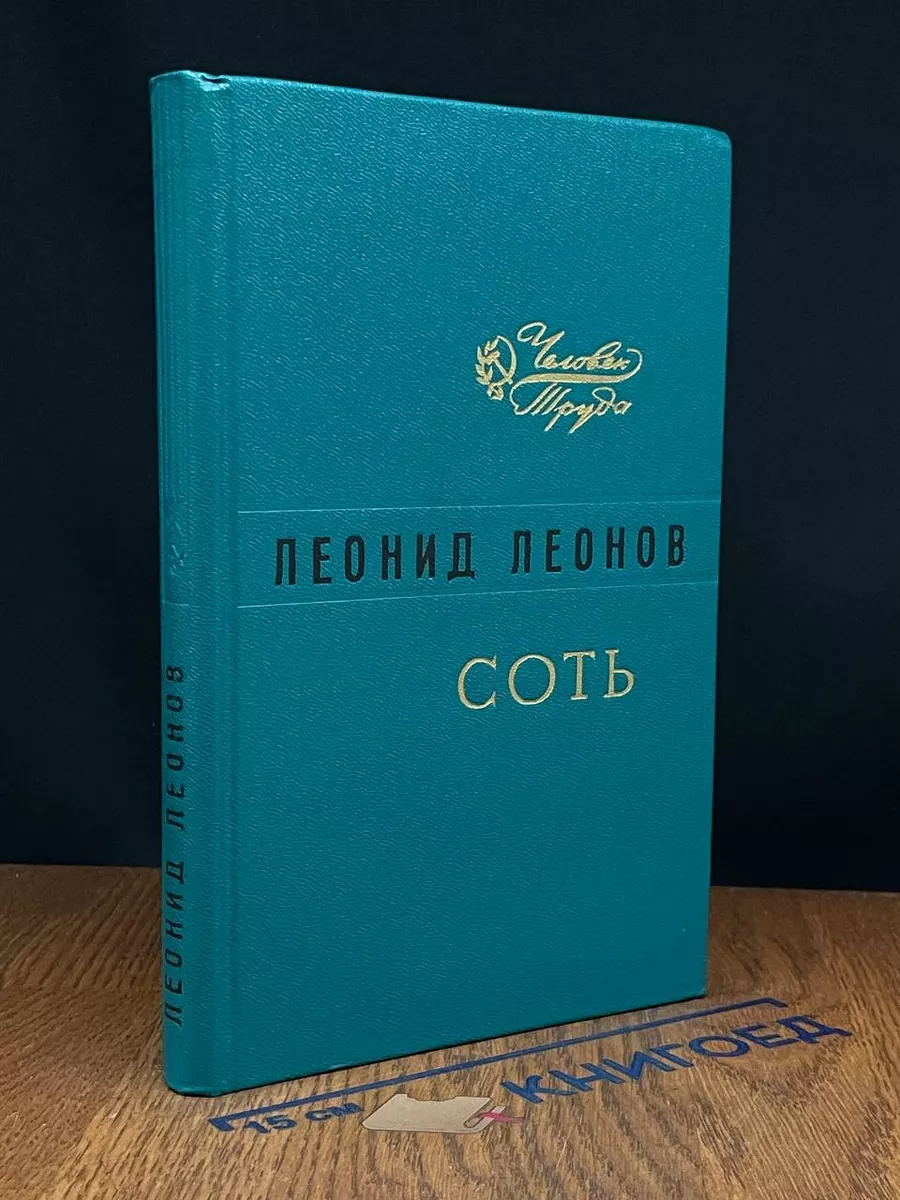 Соть