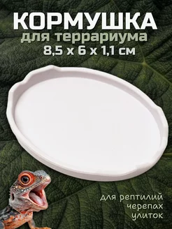 Кормушка для рептилий, черепах, улиток