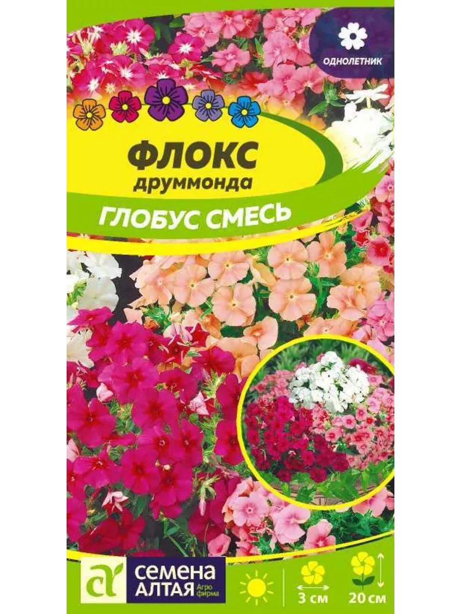 Флоксы Однолетние Купить Семена