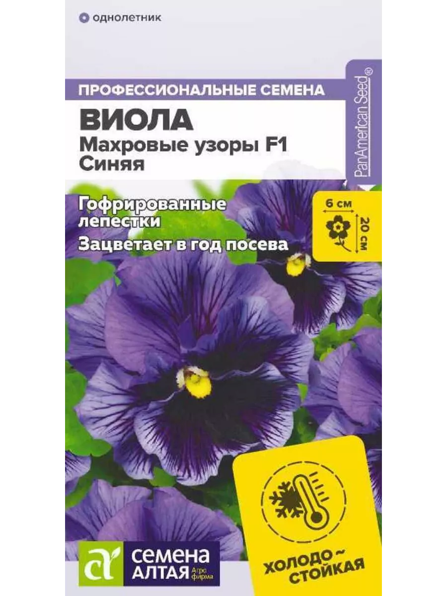 Семена Виолы Купить В Интернет Магазине