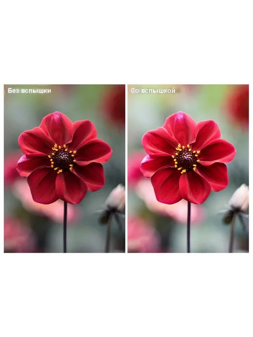 China Кольцевая вспышка HD-130, синий, фото 6