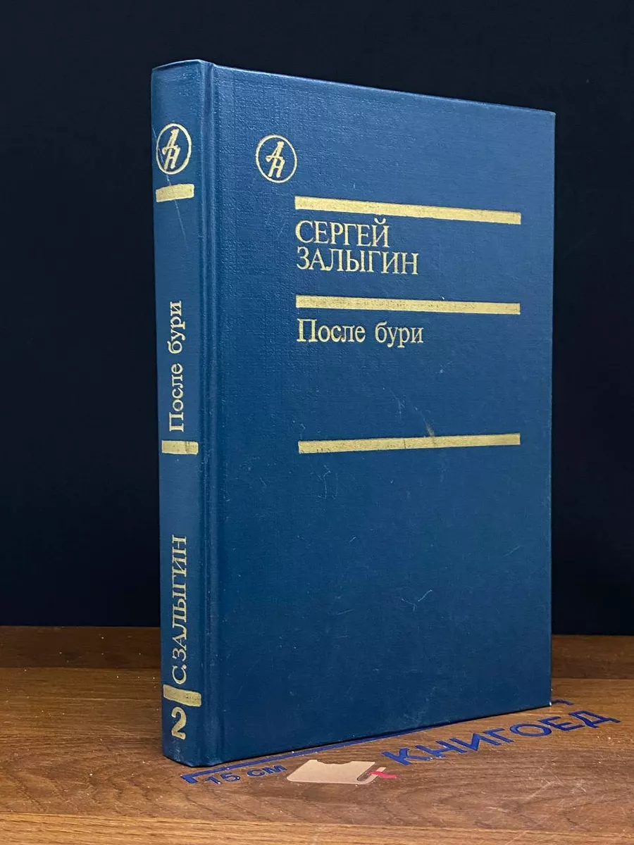 После бури. В двух книгах. Книга 2