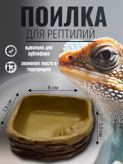 Кормушка для рептилий