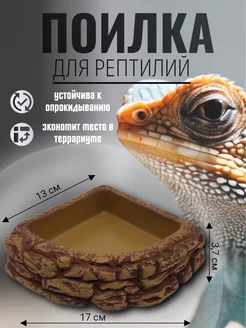 Кормушка для рептилий