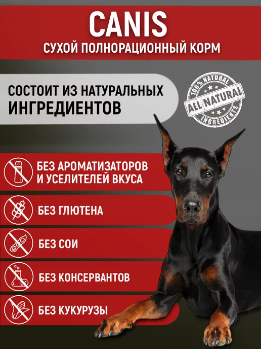 Сухой корм CANIS PRIDE для собак, крупные, средние, 20 кг, фото 3