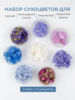 Сухоцветы для эпоксидной смолы, стабилизированные цветы Lavanda & Home 227562326 купить за 574 ₽ в интернет-магазине Wildberries