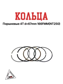 Кольца поршневые 4T d=67mm 166FMM(NT250)