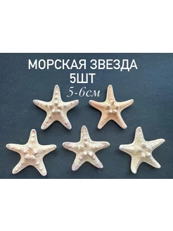 Натуральная морская звезда