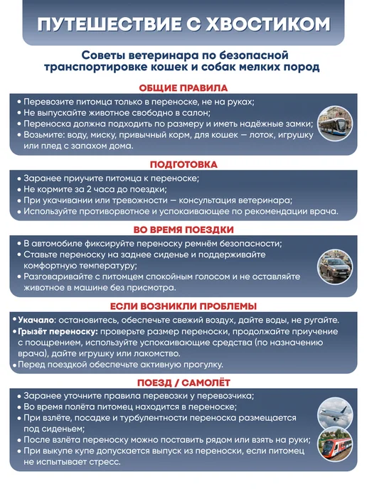 Комфорт питомца Переноска для кошек и собак мелких пород Сумка для животных, серый, фото 3