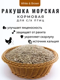 Ракушка морская кормовая мелкая для кур 10 кг