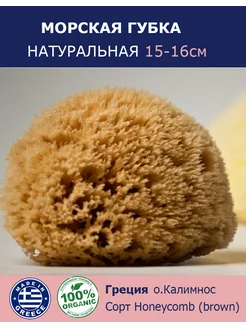 Губка морская натуральная, 15-16см Греция (о.Калимнос)