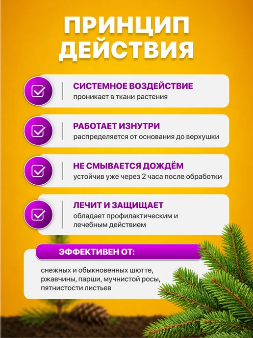 Avgust Ракурс для хвойных растений от шютте, ржавчины, 4шт*10мл, 4 шт, 10 мл, фото 2