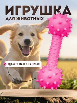 Игрушка гантель для собак