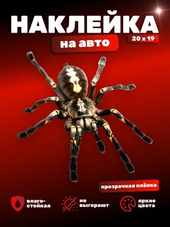 Наклейка на Авто Паук 3D