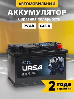 Аккумулятор автомобильный 75 Ач 640 A обратная полярность URSA 227897070 купить за 6 311 ₽ в интернет-магазине Wildberries